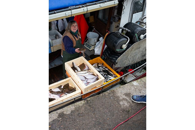 frischen Fisch direkt vom Boot in Travemünde