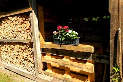 Ferienwohnung Wiebke Zint im Allgäu