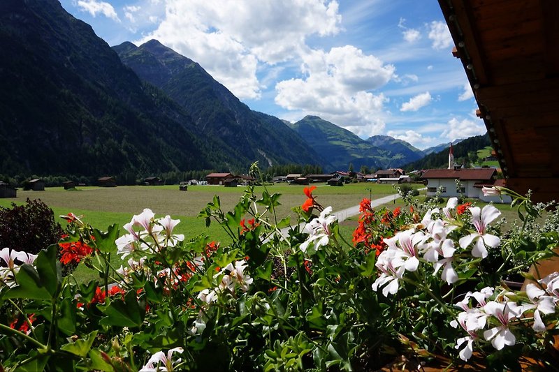Blick auf die umliegende Bergwelt