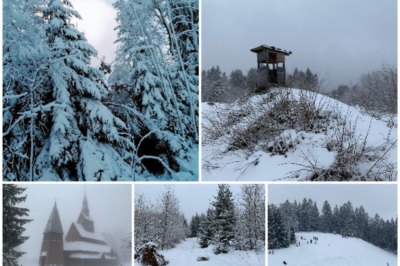 Winter im Harz