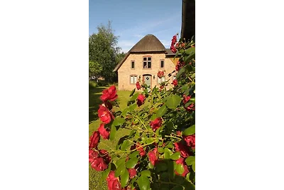 Ferienwohnung Nordfriesland Pur