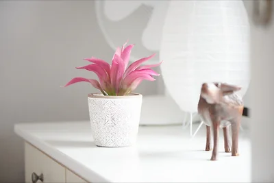 Panoramablick Hohegeiss