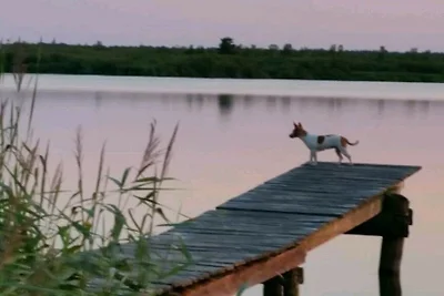 Ferienwohnung Ahlbeck