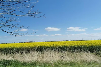 Appartamento Vacanza con famiglia Lütetsburg