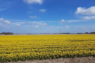 Vakantiehuis Ontspannende vakantie Burgerbrug