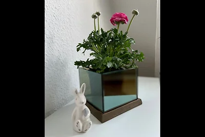 Apartament Dla rodzin Walsrode