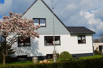 Vakantieappartement Gezinsvakantie Dannewerk