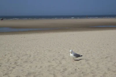 Ferienwohnung Schäfer