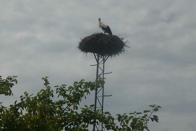 Ferienwohnung Storchennest (OG)