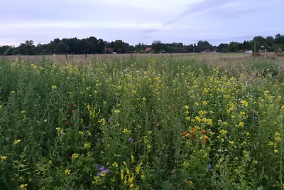 Landhaus Ostfriesenruhe