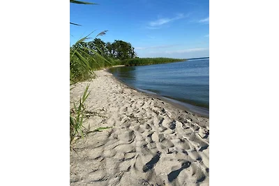 Casa vacanze Vacanza di relax Dargen