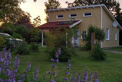 Stylisches Ferienhaus an der Südheide