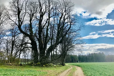 Ferienidyll Plauer See FeWo 3