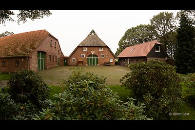 Ferienhaus am grünen Kamp