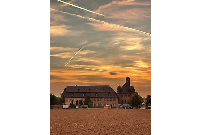 Ferienwohnung Pfaffen-Schwabenheim