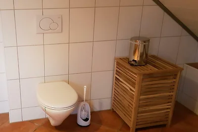 Miet-Appartement Brusius