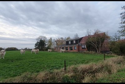 FeWo Deichblick OG am Jadebusen/Nordseeküste