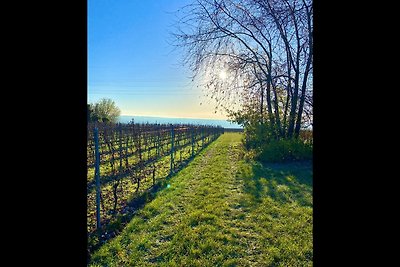 Ferienwohnung Rheingau