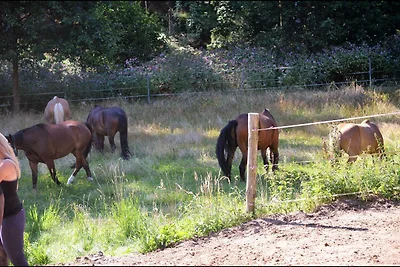 Apartament Dla rodzin Weißenstadt