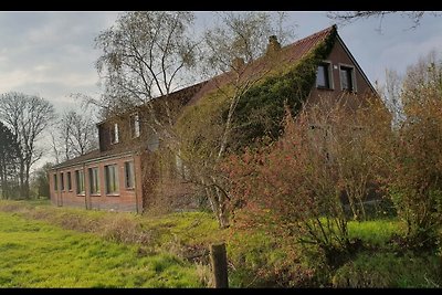 FeWo Deichblick OG am Jadebusen/Nordseeküste