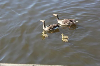 Appartamento Vacanza con famiglia Prerow