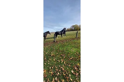 Appartamento Vacanza con famiglia Lohme