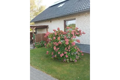 Vakantieappartement Gezinsvakantie Hambühren