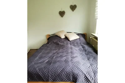 FeWo Harzfire mit Kamin