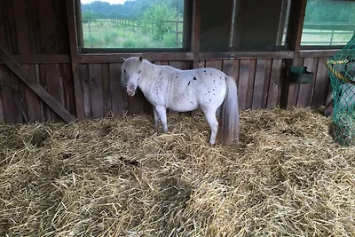 NEU! Moderne FeWo in Bönen