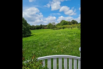 Vakantieappartement Gezinsvakantie Lützelbach