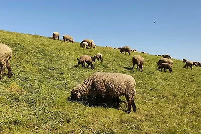 Ferienwohnung Alleweltchen