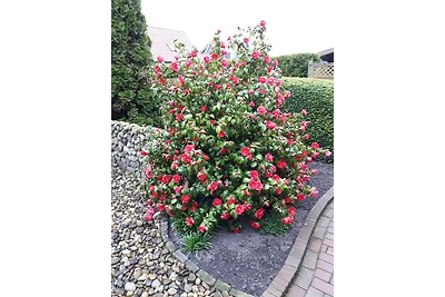 Appartamento Vacanza con famiglia Holtriem