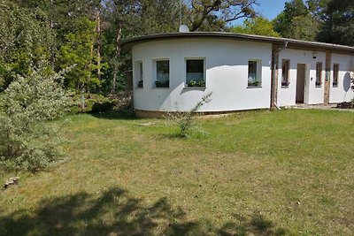 Vakantieappartement Gezinsvakantie Gräfenhainichen