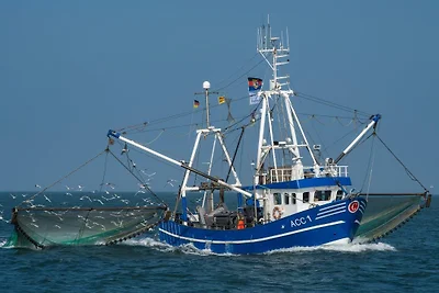 NEU! Ferienwohnng Ebbe