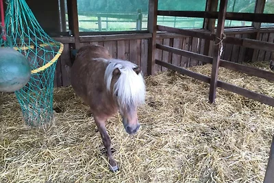NEU! Moderne FeWo in Bönen