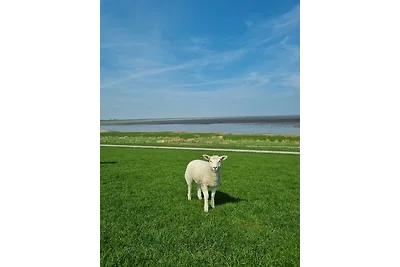 Ferienwohnung Friesenherz