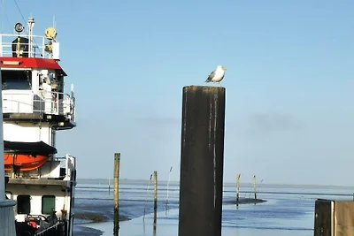 Vakantieappartement Gezinsvakantie Westerholt