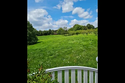 Ferienwohnung Odenwald