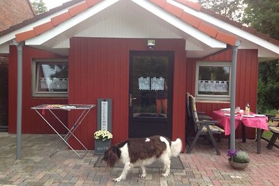 Ferienholzhaus direkt am Deich mit Hund