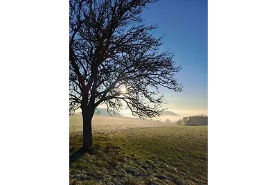 Appartamento Vacanza con famiglia Ellscheid