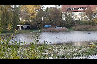 Ferienwohnung Teichblick Bad Grund