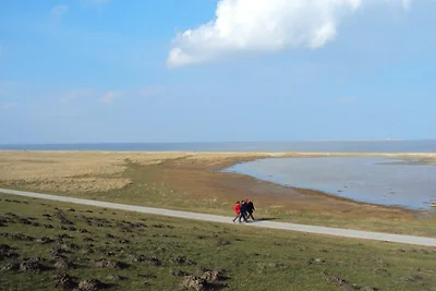 Vakantieappartement Gezinsvakantie Wittmund