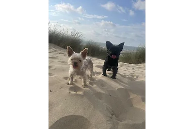 Villa Totti - Annas Stube