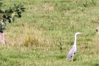 Appartamento Vacanza con famiglia Jever