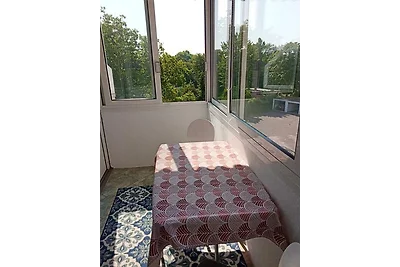 Ferienwohnung Haus Elisabeth