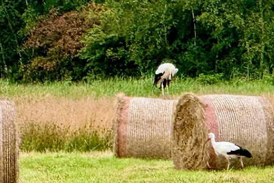 Appartamento Vacanza con famiglia Jever