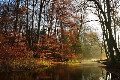 Appartement Vacances avec la famille Lachendorf