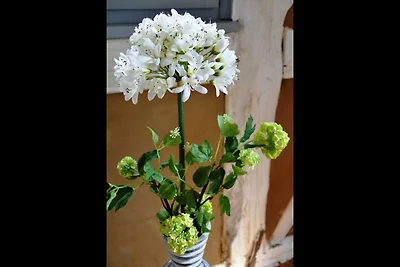 Ferienwohnung Romantique