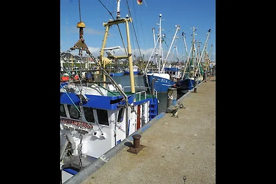 FeWo Sankt Florian nähe Heide, SPO, Büsum