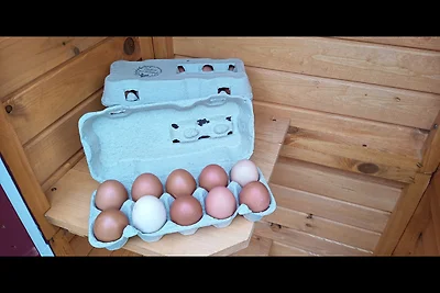 Maison de vacances Vacances relaxation Berumbur